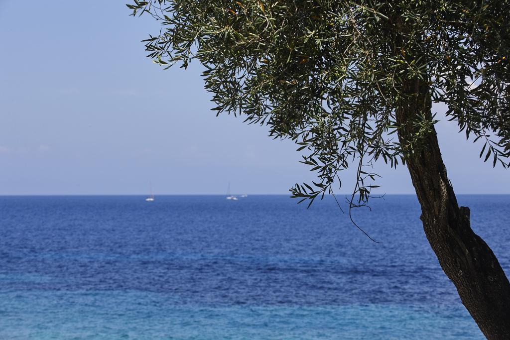 Anassa Mare Villas & Residences Gaios Exterior photo